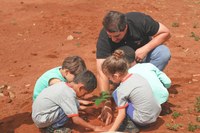 Plantio de mudas marca Dia da Árvore em União de Minas